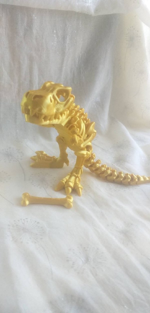 3D printed T-rex Skeleton - JShop
