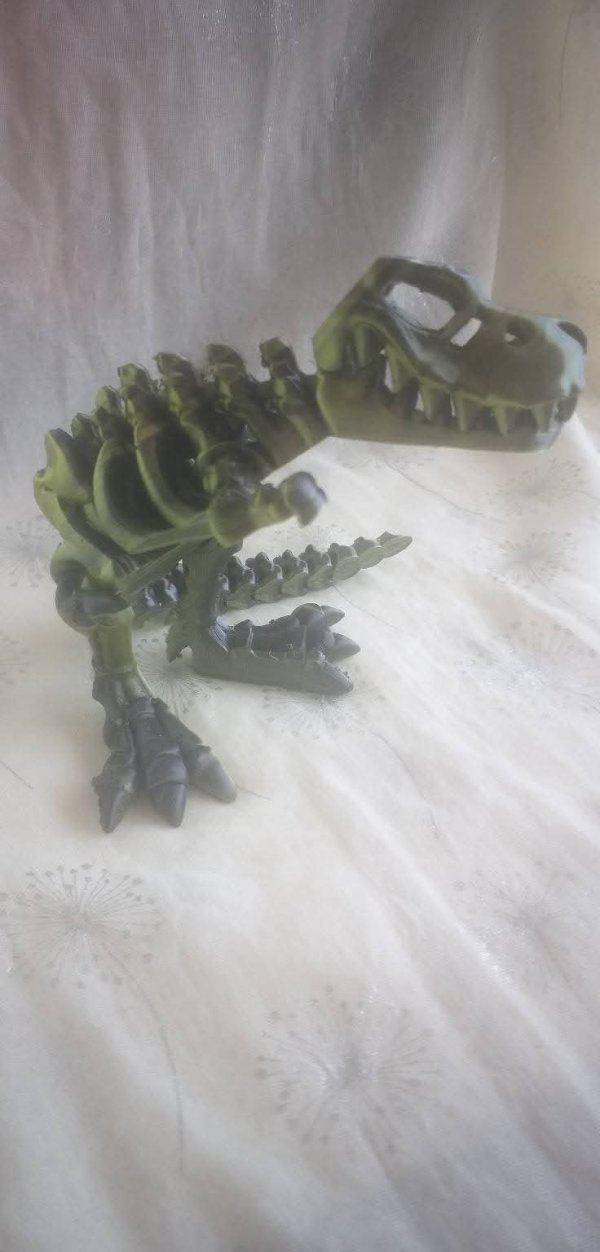 3D printed T-rex Skeleton image 2