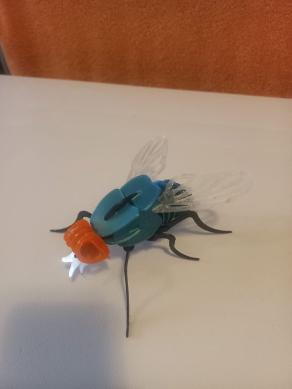 3D printed Fly puzzle - JShop